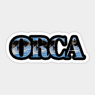 Orca in the sea Sticker